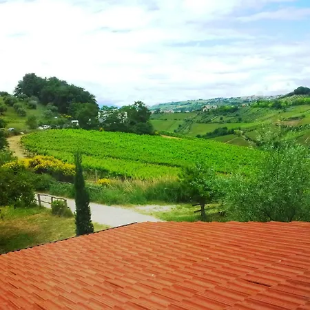 Farm stay Campoletizia Miglianico