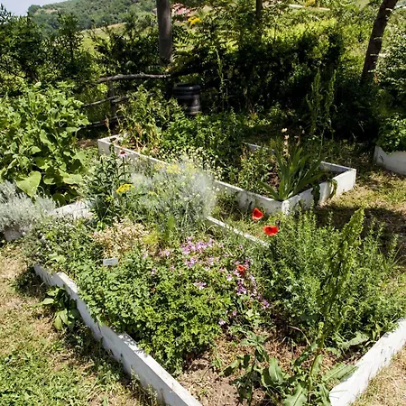 Campoletizia Lantgård Miglianico