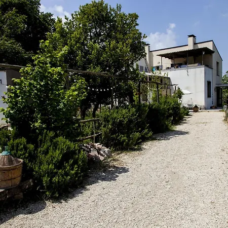 Campoletizia Miglianico