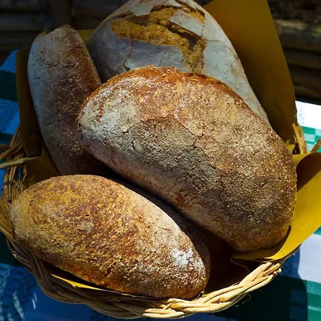 Campoletizia Lantgård *