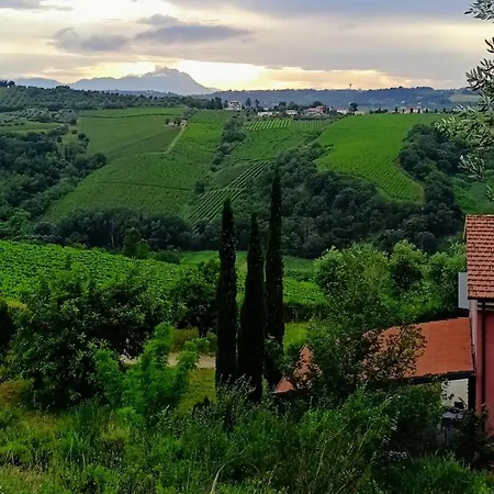 Farm stay Campoletizia Miglianico