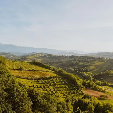 Campoletizia * Miglianico