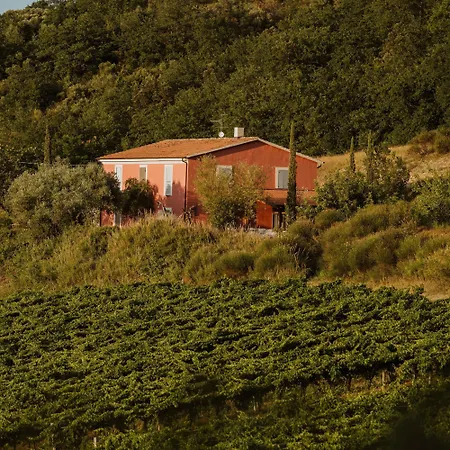 Campoletizia * Miglianico