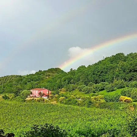 Campoletizia Miglianico