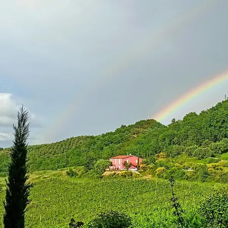 Campoletizia * Miglianico