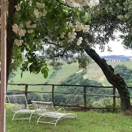 Campoletizia * Miglianico