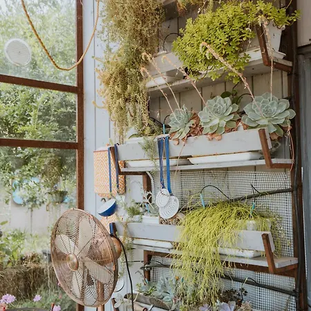 Campoletizia Farm stay