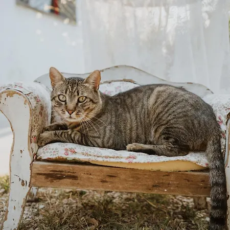 Campoletizia Farm stay