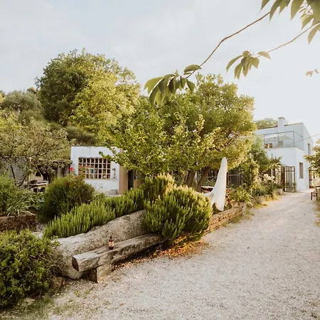 Campoletizia Farm stay Miglianico