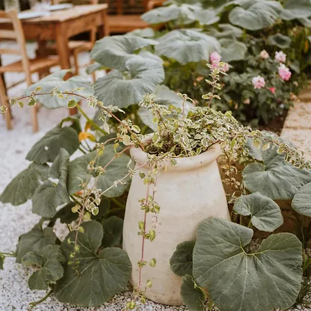 Farm stay Campoletizia Miglianico