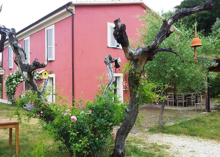 Campoletizia Farma *