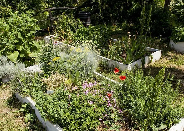 Campoletizia Farma Miglianico