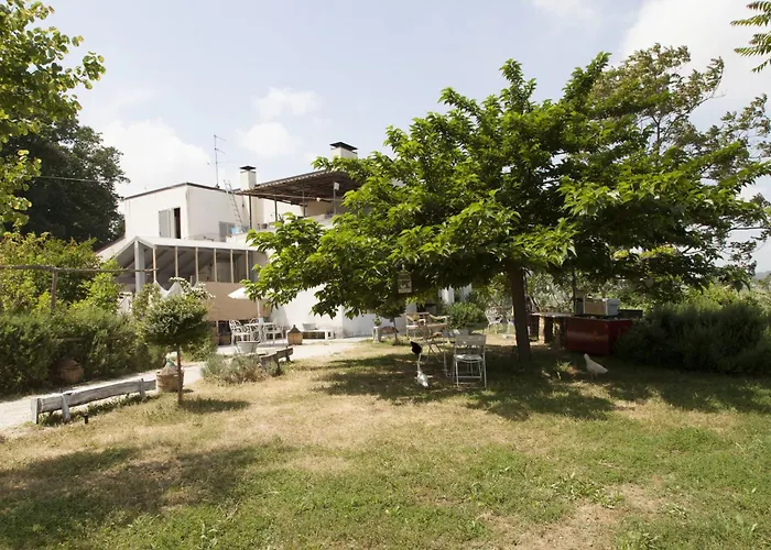 Farma Campoletizia Miglianico