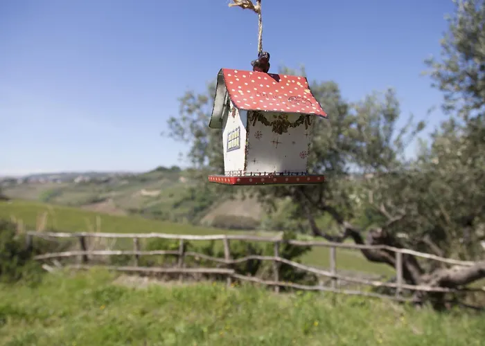 Campoletizia Miglianico