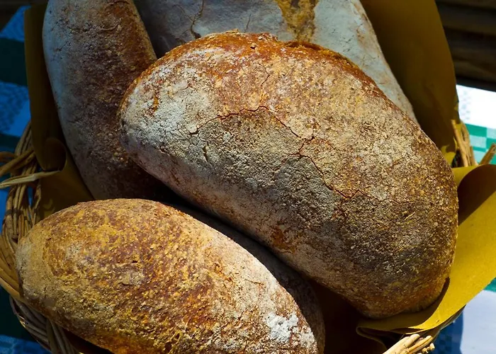 Campoletizia Farma *