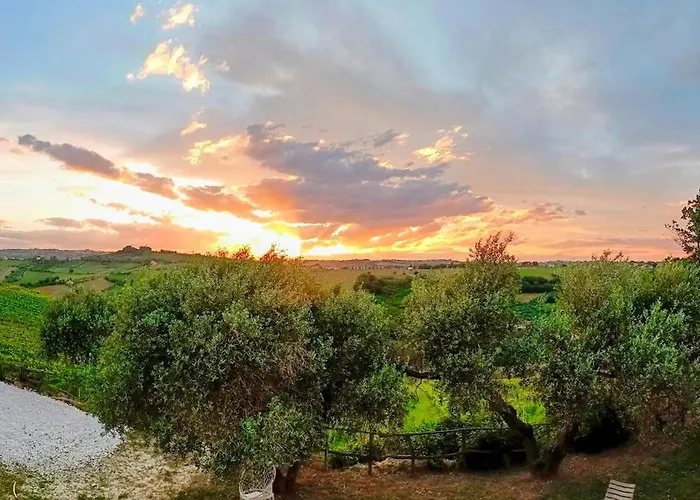 Campoletizia Farma Miglianico