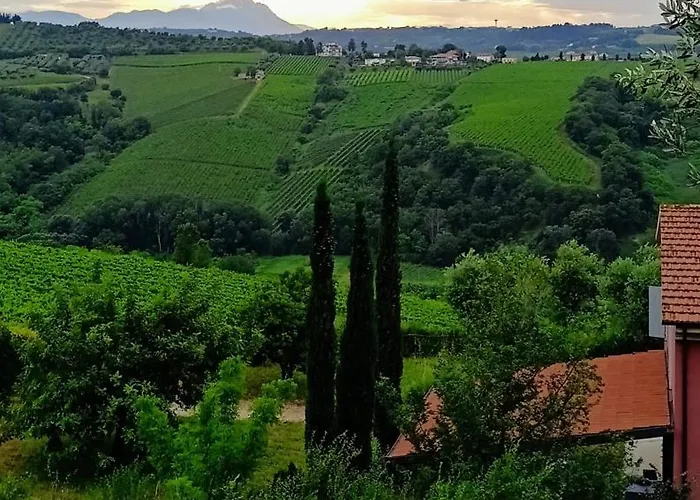 Farma Campoletizia Miglianico
