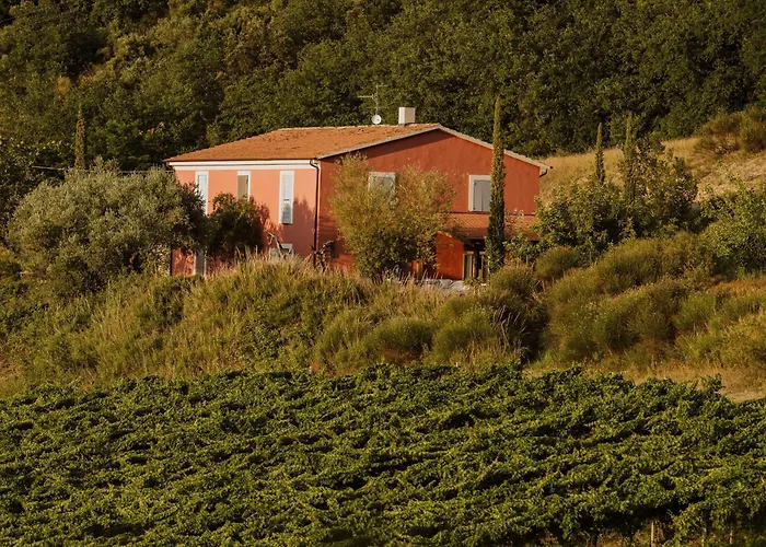 Campoletizia * Miglianico