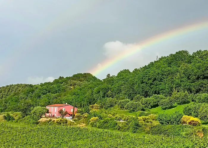 Campoletizia Miglianico