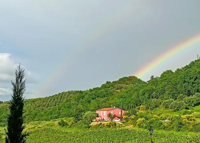 Campoletizia * Miglianico